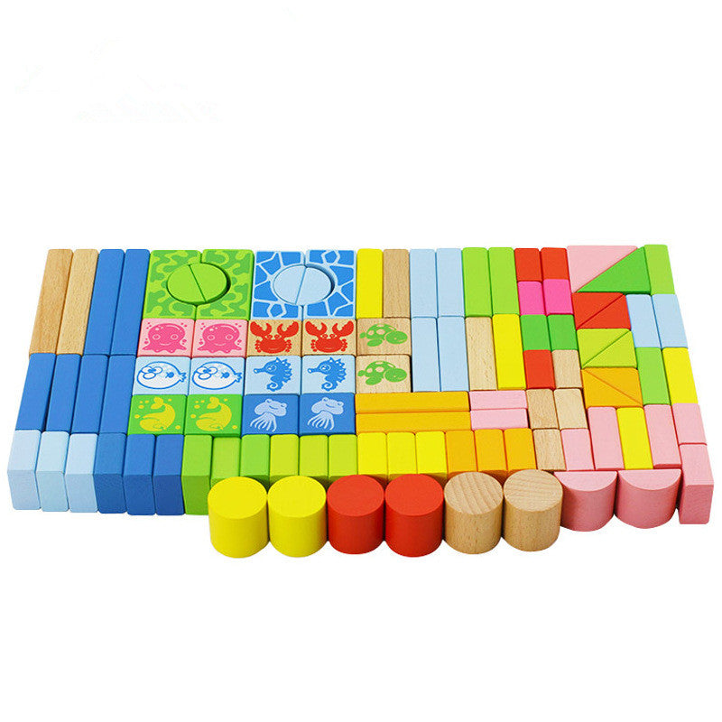 Ocean 100 Puzzle Blocks