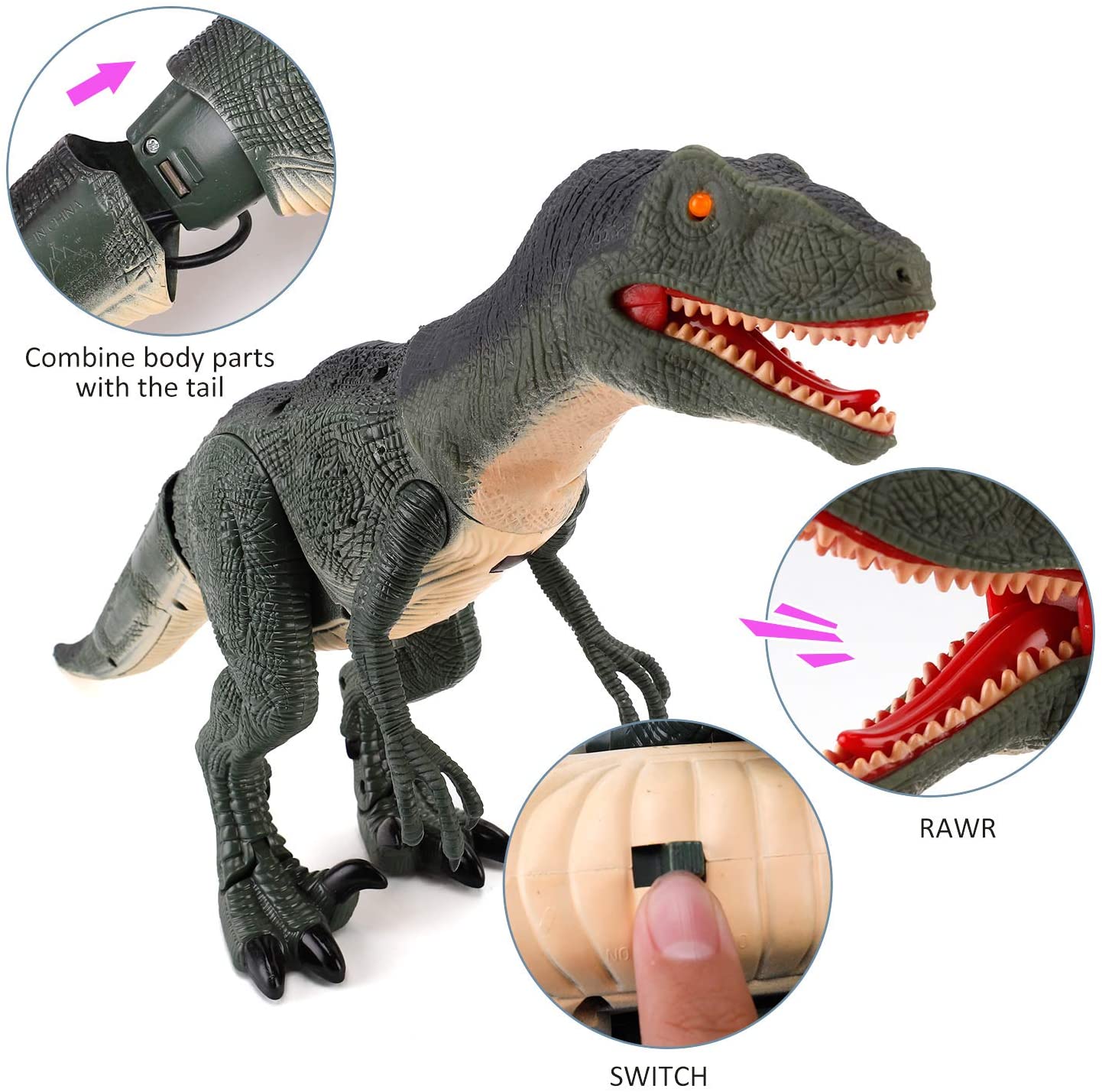 Remote Control Walking Velociraptor Dinosaur Toy